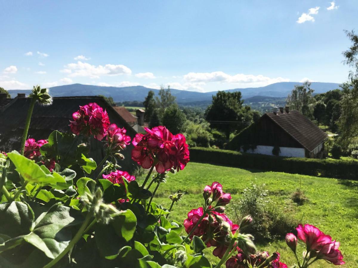 Chalupa Na peci Želnava Exterior foto